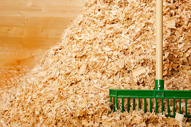 Bedding & Shavings